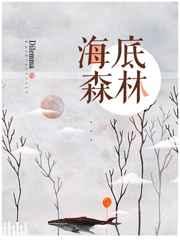 海底森林打猎故事概述