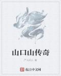 山口山战记全集