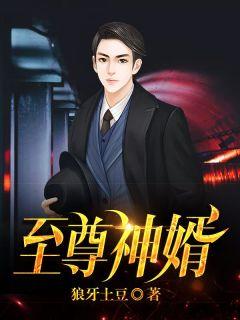 至尊神婿全集免费阅读