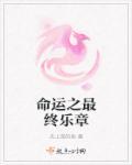 命运新章最终回响百科