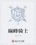 假面骑士巅峰骑士